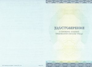 Формы выдаваемых документов
